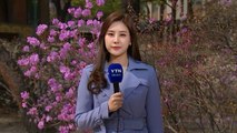 [날씨] 주말, 올해 들어 가장 따뜻...밤엔 중부 비 / YTN