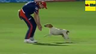 Top 15 Funny Moment in Cricket History,,,,Hindi/Urdu