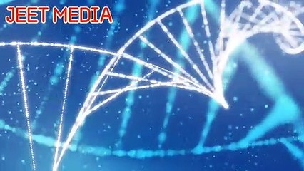 Corona virus ki jankari 2020