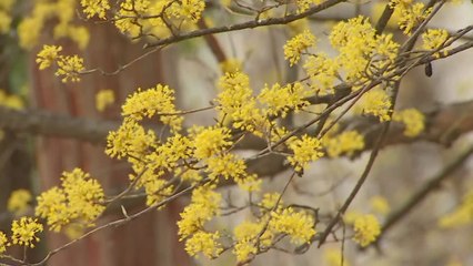 [날씨] 올해 들어 가장 따뜻, 서울 19.5℃...밤엔 중부 비 / YTN