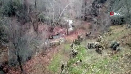 MİT ve TSK'dan büyük operasyon