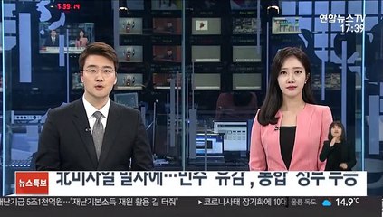 北 미사일 발사에…민주 "유감", 통합 "정부 무능"