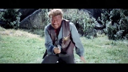 ¿Quién grita venganza? Película (1968)