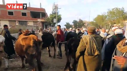 فض أسواق العياط العشوائية لمواجهة فيروس كوورنا