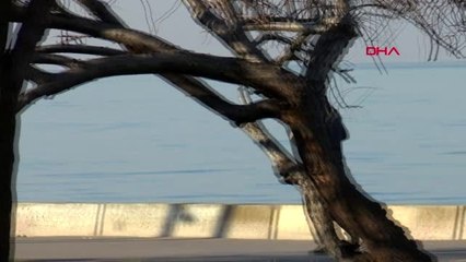 EVLERİNDEN ÇIKTILAR, SAHİLDE SPOR YAPTILAR