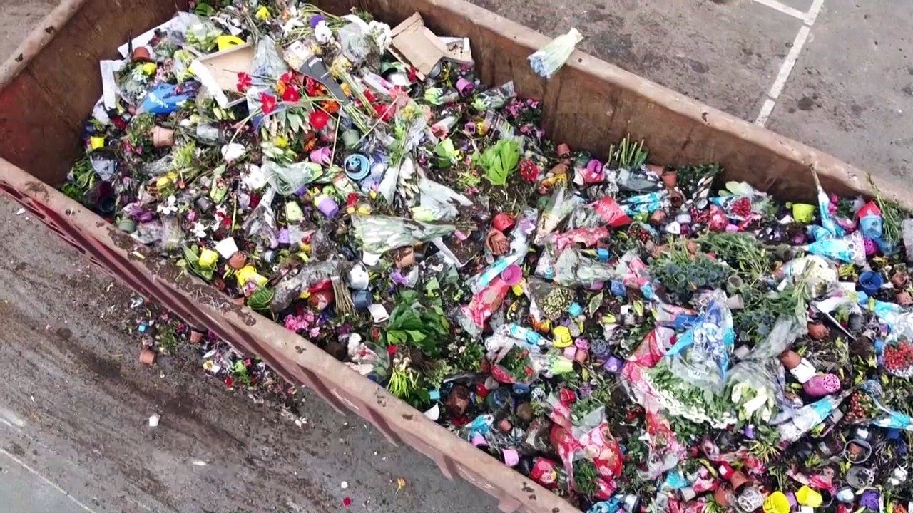 Coronavirus: Blumenproduktion in den Niederlanden landet auf dem Müll