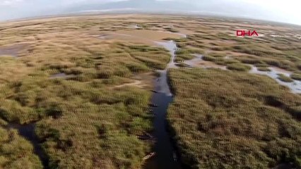 ANTALYA Eber Gölü'nün de suyu çürüdü