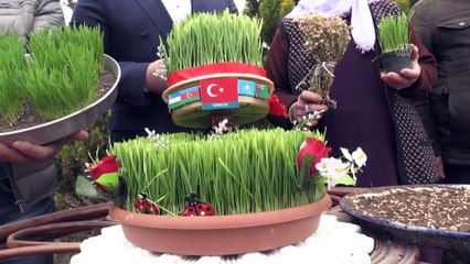 Anadolu'da baharın, bereketin ve birliğin sembolü: 'Semeni' - IĞDIR