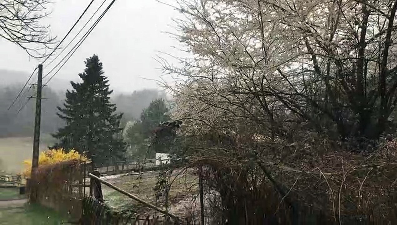 Il neige au Pays de Bitche