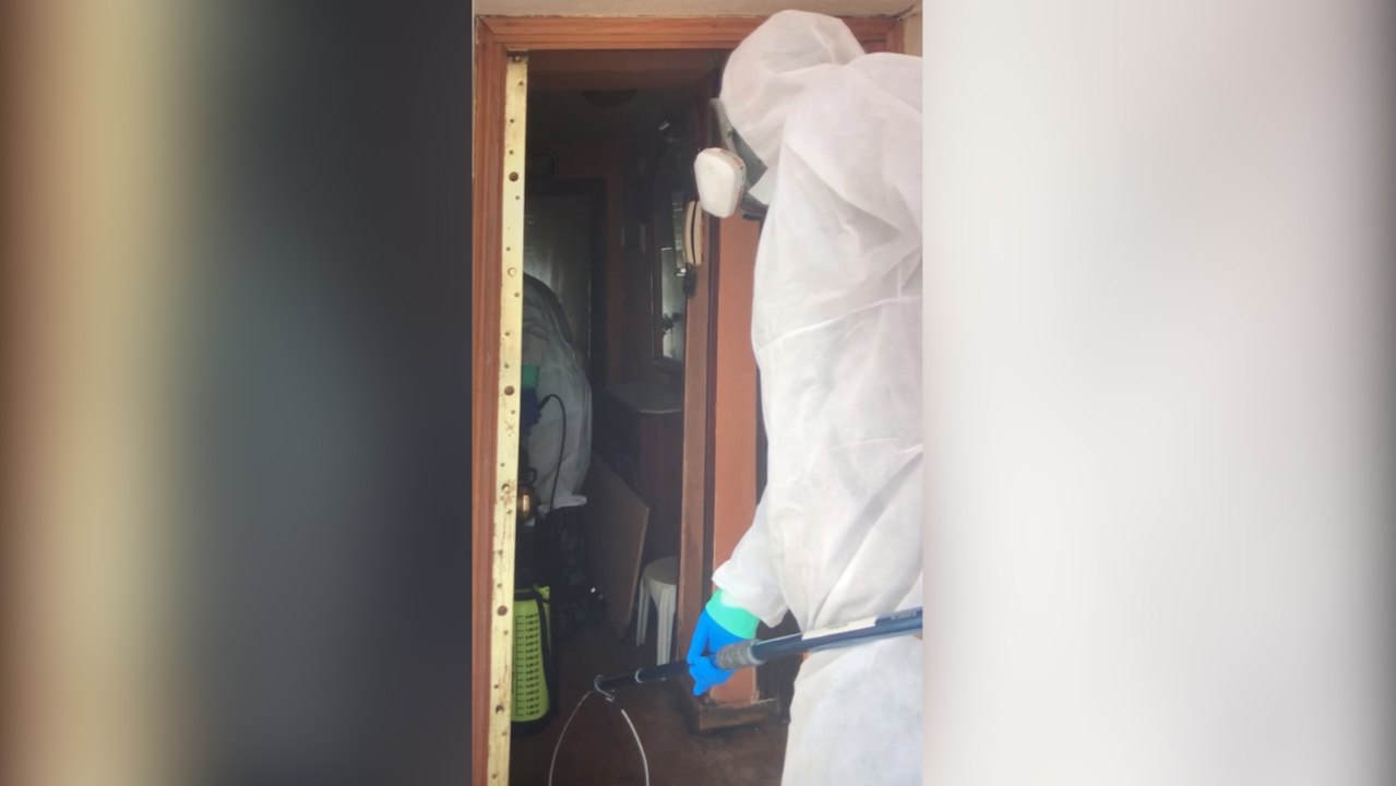 El Refugio rescata a los dos perros de un matrimonio hospitalizado