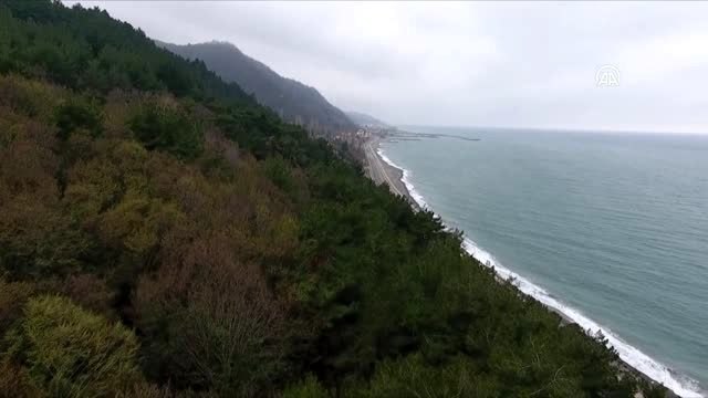 Tıbbi ve aromatik bitkiler ülke ekonomisine de yaradı