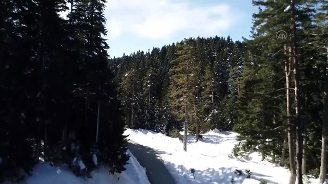 Tıbbi ve aromatik bitkiler ülke ekonomisine de yaradı - KASTAMONU/BOLU/KIRKLARELİ/ISPARTA