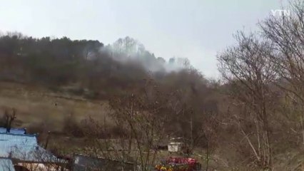 대전 상소동 야산에서 불...1시간 만에 큰 불길 잡혀 / YTN