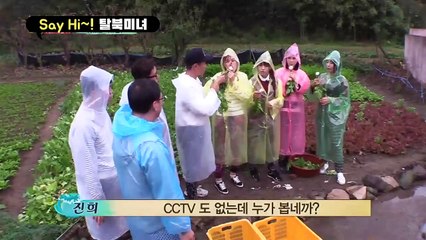 [세이하이 탈북미녀] 열무밭으로 동원된 북한미녀들! 김정은 뺨치는 폭군 등장에 ♨은하가 뿔났다♨