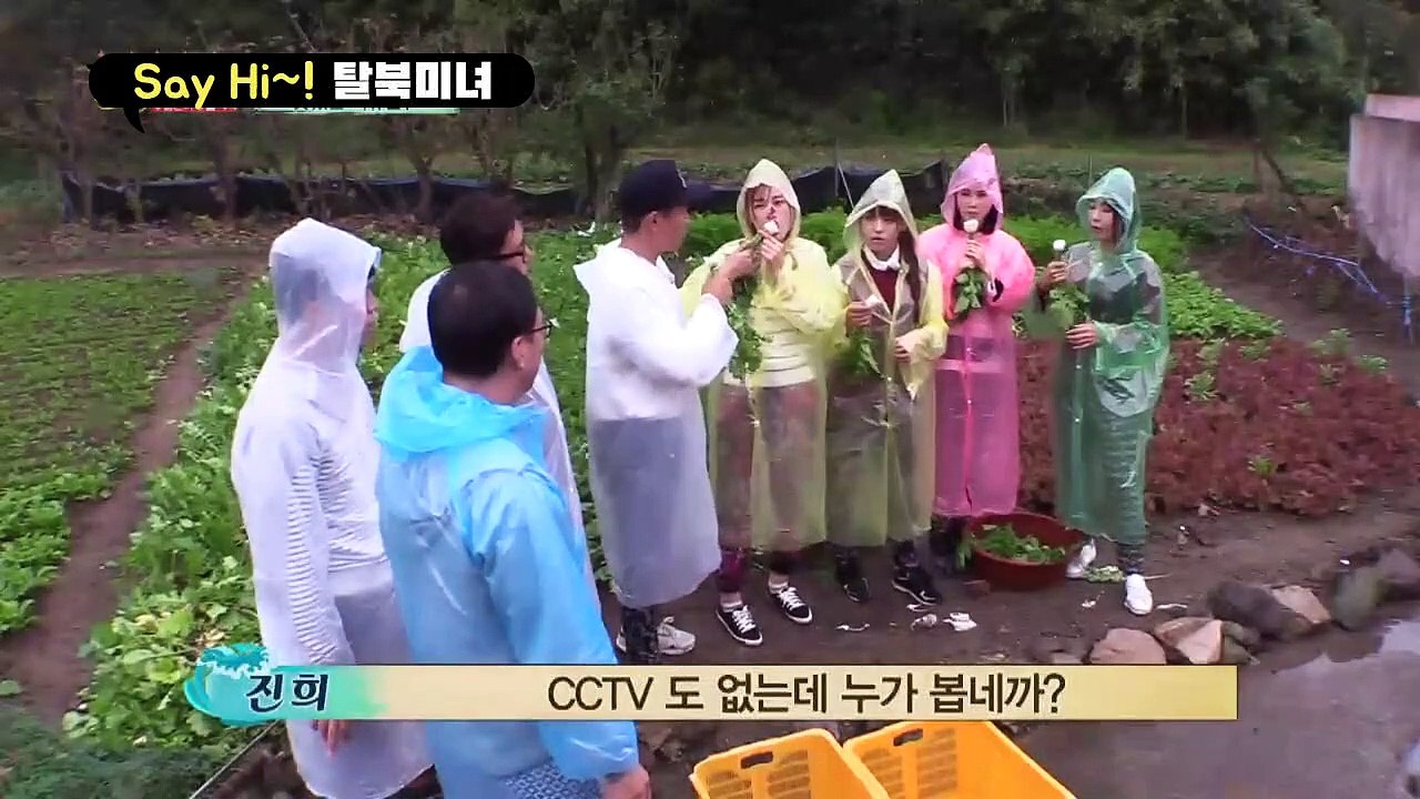 [세이하이 탈북미녀] 열무밭으로 동원된 북한미녀들! 김정은 뺨치는 폭군 등장에 ♨은하가 뿔났다♨