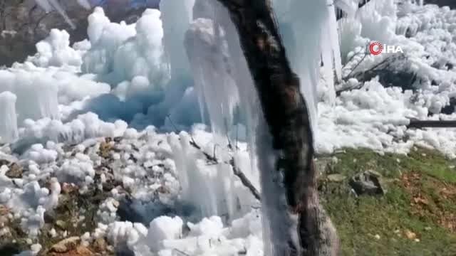 Mersin'in yüksek kesimlerinde ağaçlar 'Buz sarkıtları' ile kaplandı