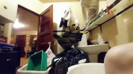 Hen interrupts my bath with her baby chicks