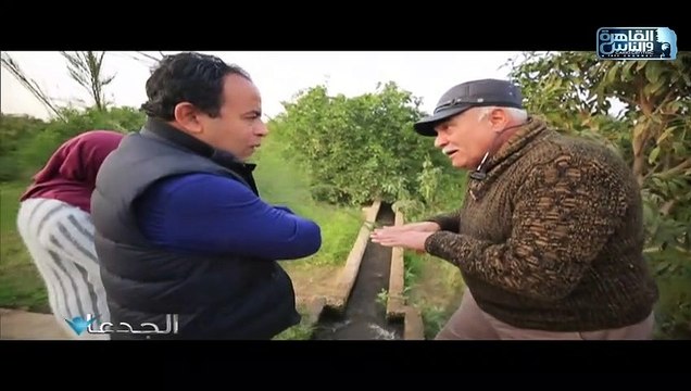 نموذج مبهر لإستخدام مزرعة صغيرة وتحقيق أعلى عائد منها .. مزرعة العميد يوسف غلاب