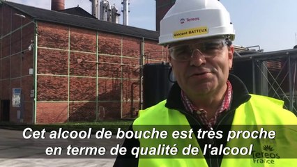 Les distilleries se mobilisent pour produire du gel hydroalcoolique