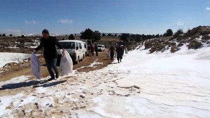 Mut'ta yaban hayvanları için doğaya yem bırakıldı