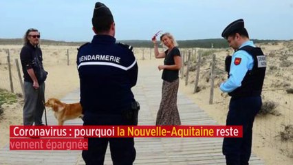 Coronavirus : pourquoi la Nouvelle-Aquitaine reste relativement épargnée
