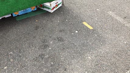 Reportage au marché de la Petite Hollande