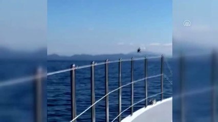 Denize açıldıktan sonra haber alınamayan 3 kişiden 2'sinin cesedi bulundu