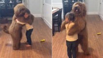Viral Video : A Girl Dancing With Her Dog Will Make You Smile