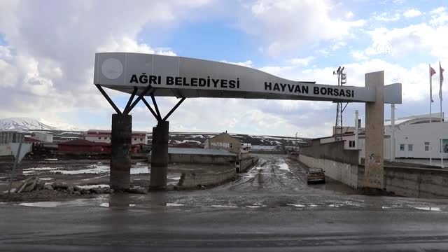 Canlı hayvan pazarları koronavirüs tedbirleri kapsamında kapatıldı