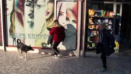 Berber, kuaför ve güzellik salonları kepenkleri indirdi