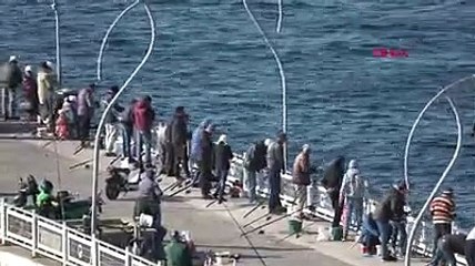 Balık sevdası koronavirüs dinlemedi