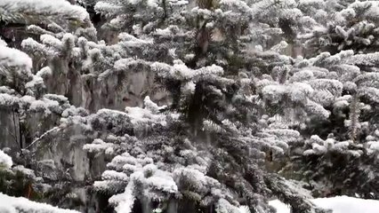 Kar yağışı hayatı olumsuz etkiledi