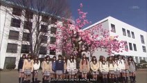 【AKB48 Drama】桜からの手紙 7 / Sakura Kara no Tegami Episode 7 English Subbed (2011) FINAL EPISODE