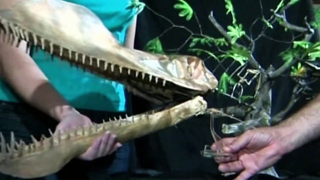 Top 10 - sfida alla scienza - Creature ed esseri misteriosi