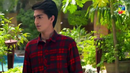 Wafa Kar Chalay Episode 20 HUM TV Drama 21 January 2020