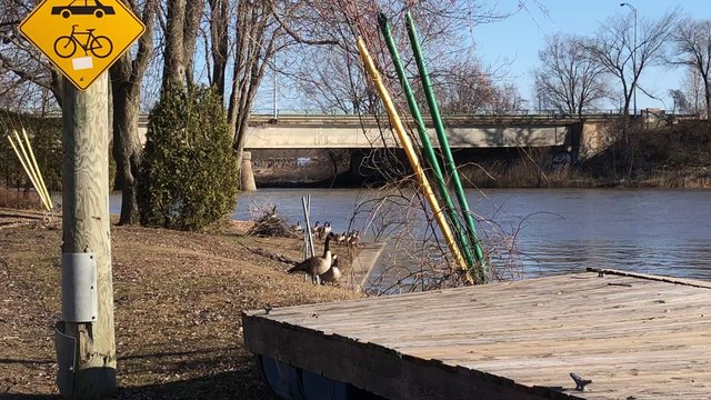Les oies du printemps à Châteauguay