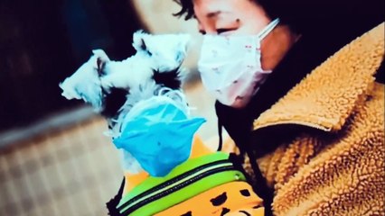 حتى الكلاب تقول لنا عدون واحد #فيروس_كورونا