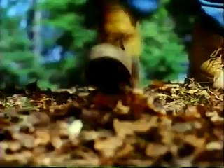 The Dark trailer (1993) Neve Campbell monster rat movie