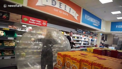 UK woman 'self-distancing' in ZORB BALL leaves shoppers bemused as she rolls around supermarket