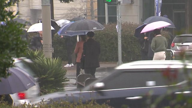 [날씨] 남해안 150mm 봄 호우...내륙 산불 걱정 끄는 단비 / YTN