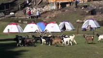 Fairy Meadows   Nanga Parbat Base Camp, Pakistan in 4K Ultra HD