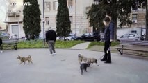 Portas de Itália abrem-se aos cães e aos hábitos de uma vida 