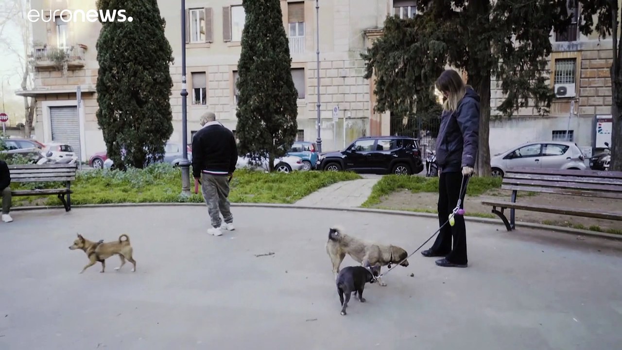 Portas de Itália abrem-se aos cães e aos hábitos de uma vida "normal"