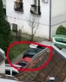 Confinement : Une femme sort son chien depuis son balcon en Serbie