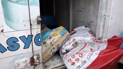 Mardin Büyükşehir Belediyesi sokak hayvanlarına sahip çıkıyor