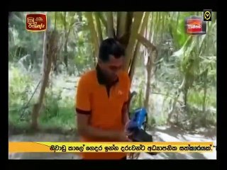 Atapattama 2020.03.25