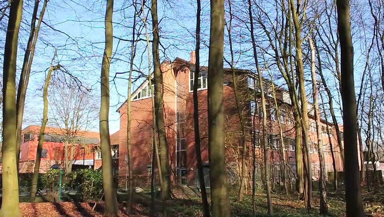 Pinneberg city  - märz 2020 25032020 folge 01 /full film/complete movie/ganzer film