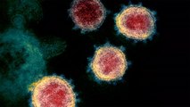 جنيفر هالر أول أميركية تتلقى جرعة من اختبار لقاح فيروس كورونا
