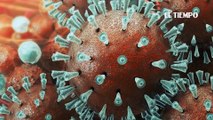 ¿Cuáles son los síntomas y efectos del coronavirus