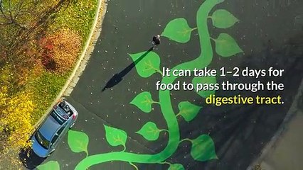 what-causes-people-to-poop-right-after-eating